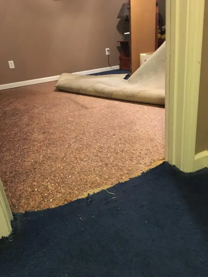 Carpet pad removal revealing water damage during Drying & Dehumidification in Moberly